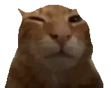 buh